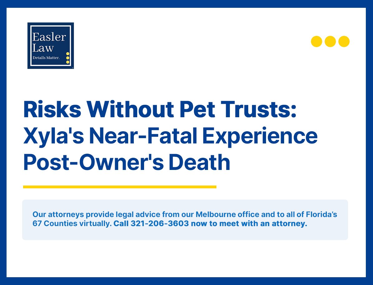 Risks Without Pet Trusts: Xyla's Near-Fatal Experience Post-Owner's Death