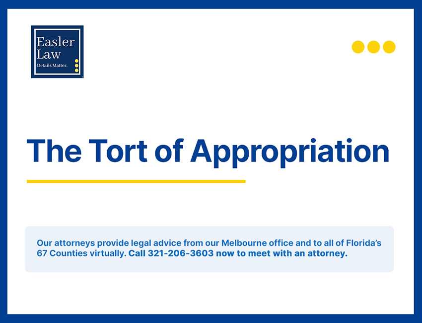 The Tort of Appropriation